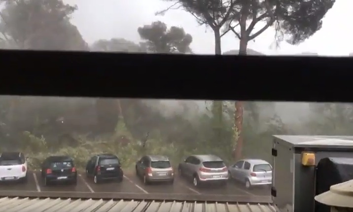 Milano Marittima devastata da una tromba d’aria, alberi abbattuti e feriti: VIDEO