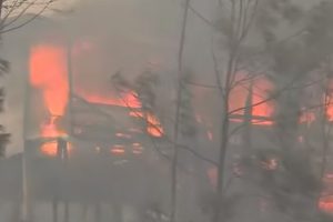 Incendi in Australia, il fumo ha raggiunto zone dell’atmosfera mai raggiunte prima d’ora