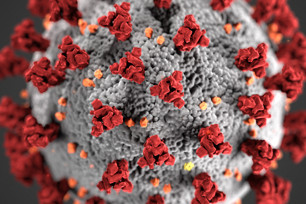 Coronavirus, allarme OMS: pandemia accelera