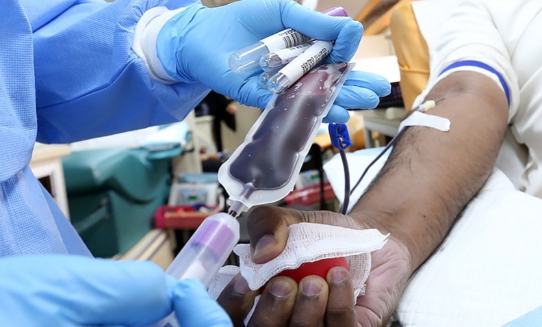 Coronavirus, come donare il sangue in tutta sicurezza durante la pandemia