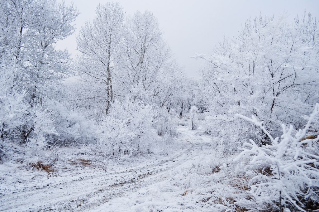 Allerta meteo, temperature sotto lo zero nelle prossime ore e ‘temporali di neve’ al Centro-Nord